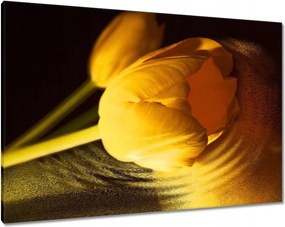 Vászonkép 100x70 Sárga-arany tulipán