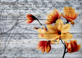 Fotótapéta Magnólia a deszkákon Provence rusztikus minta 208x146 +ragasztó