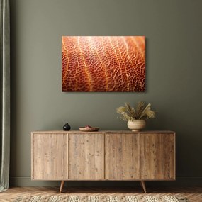 Kép - Textúra részlet (90x60 cm)