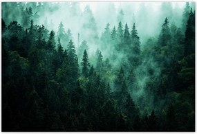 Poszterek 200x135 Erdő Köd Tájkép Utazás