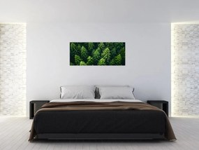 Kép - Forest (120x50 cm)