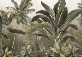 Fotótapéta Trópusi erdő Pálmafák Zöld botanika Perspektíva 208x146 +ragasztó