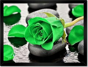 Poszter keretben 40x30 Zöld rózsa kövek