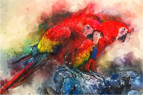 Vörös ara papagájok képe (90x60 cm)