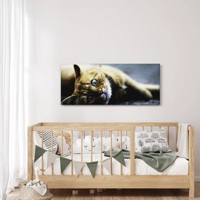 Macska képe (120x50 cm)