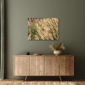 Üveg kép - Gabona (70x50 cm)