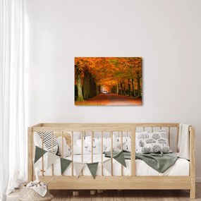 Kép - A Avenue of fák ősszel (70x50 cm)