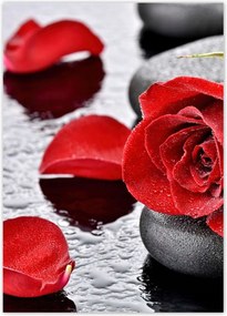 Poszterek 50x70 Vörös rózsa Neki