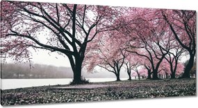 Festmények 115x55 Fa Fák Kilátás