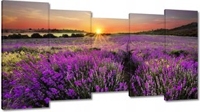 Vászonkép 150x80 Levendula rét