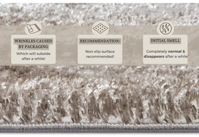 Bézs-ezüstszínű szőnyeg 200x280 cm Shine Classic – Hanse Home