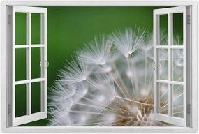 Poszterek 90x60 Pitypang Virág Virágok