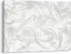 Kép - Szirmok (70x50 cm)