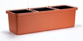 Nagy térfogatú doboz Berberis Trio 117 cm terrak