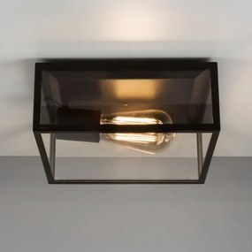 ASTRO LIGHTING 1353001 BRONTE Modern Kültéri Mennyezeti Lámpa Fekete, Átlátszó E27 IP23