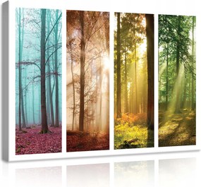 Vászonkép 70x50 Négy évszak erdő természet évszakváltás nyugalom harmónia