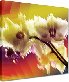 Vászonkép 30x30 Orchidea Gyönyörű virágok