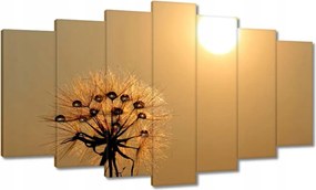 Vászonkép 140x80 Pitypang Virág Virágok