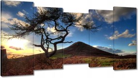 Festmények 150x80 Fa