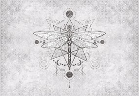 Fotótapéta flizelina Geometrikus Szitakötő fekete-fehér harmónia 208x146 +ragasztó