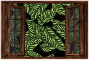 Poszter 60x40 Zöld levelek Trópusok