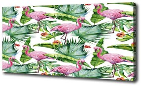 Vászonkép Flamingók növények oc-154753401