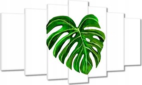 Vászonkép 140x80 Monsera levél lyukas