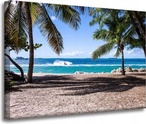 Vászonkép Természet Óceán pálmafák tengerpart 70x50 cm