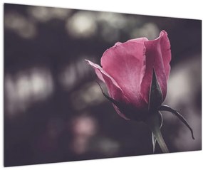 Kép - Rózsa virág részlete (90x60 cm)