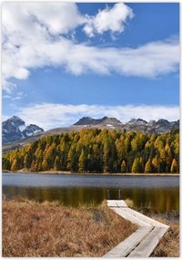 Plakátok 70x100 Táj Fa gyaloghíd