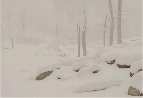 Flizelin tapéta Flizelin Fali Prémium Hóerdő 152x104 Ragasztó