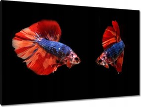 Vászonkép 120x80 Harcosok csodálatos halak