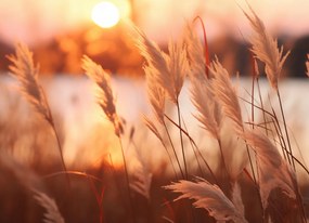 Poszter 18x13cm Arany Nyugat