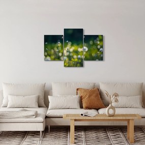 Kép - Fű (90x60 cm)