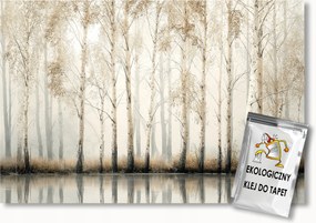 Fotótapéta Flizelina Fák Erdő Liget Nyírfa Víz Ősz Köd 150x105 ragasztó