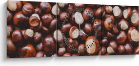 Kép - Érett gesztenye (órával) (90x30 cm)