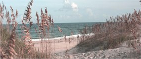 Kép - Rózsaszín strand (120x50 cm)