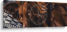 Egy kép fekvő kutyákról (órával) (90x30 cm)