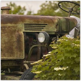 Poszterek 70x70 Antik traktor a mezőn