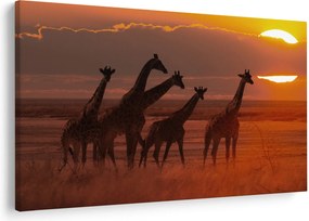 Kép - Zsiráfok az afrikai szavannán (90x60 cm)