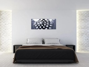 Kép - Toll (120x50 cm)