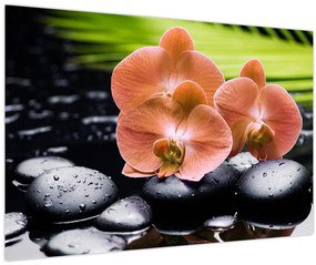 Kép - Narancssárga orchidea pálmalevelekkel (90x60 cm)