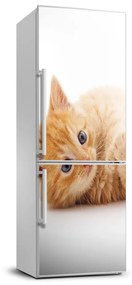 Matrica hűtőre Kis gyömbér macska FridgeStick-70x190-f-126034635