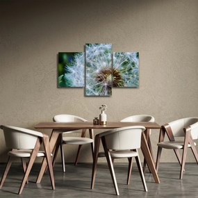 Elvirágzott pitypang képe (90x60 cm)