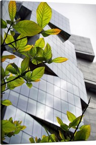 Vászonkép Építészet Modern épület 80x120 cm