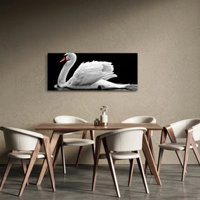 Fekete-fehér hattyúk képe (120x50 cm)