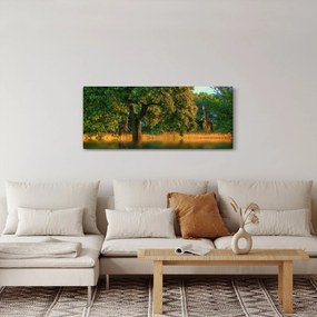 Zsiráf a természetben képe (120x50 cm)