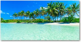Fotó üvegkép Trópusi tengerpart 140x70