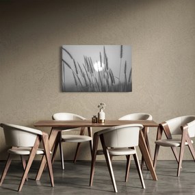 Kép - Mező naplementében (90x60 cm)