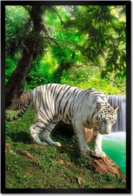 Poszterek keretben 40x60 Tigris a vízesésnél